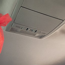 ���� �������, ���������, 32 ���� - ��������� 4 ������ 2023