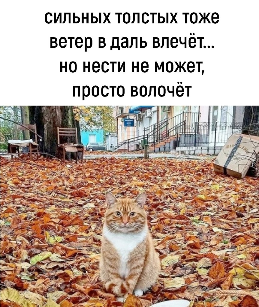  - 3  2025  09:18 - 2