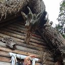 ���� ������, �������, 52 ���� - ��������� 2 ������ 2025