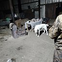 ���� ���������, ������, 35 ��� - ��������� 23 ������� 2023 � ������ ���� ����������