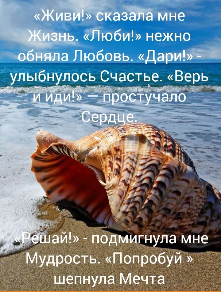   - 14  2025  16:34