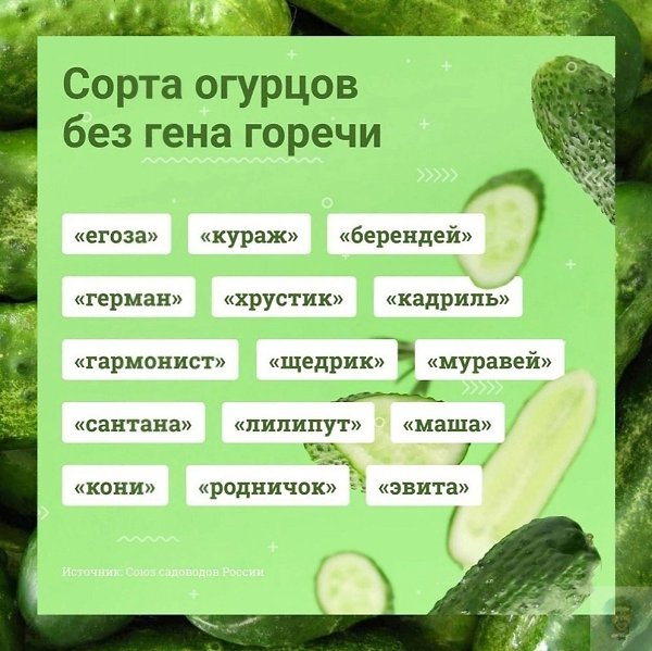   - 14  2025  23:08