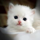 ���� ���, ���������, 63 ���� - ��������� 25 ������ 2023 � ������ ���� ����������