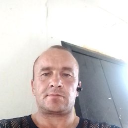 ������� ���������, 39 ���, ������