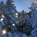 ���� ������, ����-��� - ��������� 24 ������ 2025 � ������ ������������ ����� 4�