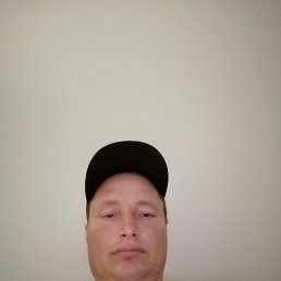 , 44, 