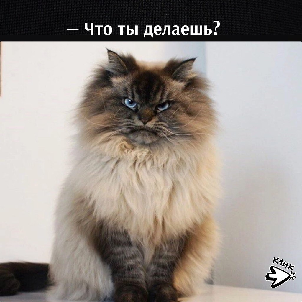 ��� ���� � ����� �� �� - 26 ������� 2026 � 22:00