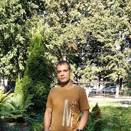 , 39, 