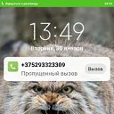 ���� �����, �����, 53 ���� - ��������� 1 ������� 2024 � ������ ���� ����������