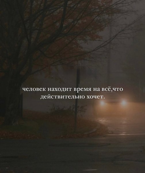 ������. - 3 ����� 2026 � 11:52 - 6