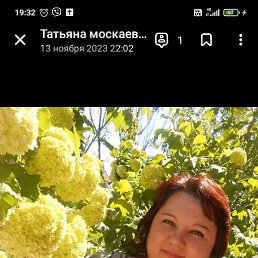 ����, ������, 49 ���