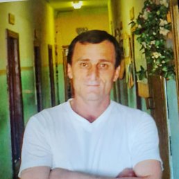 , 52, 
