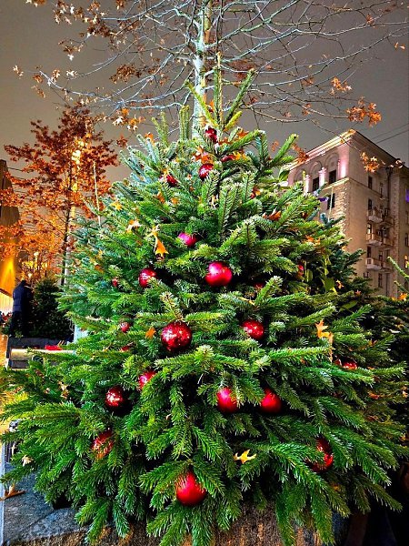 ���������� ��������� �� ������ ������. ����; �������� �����. - 2