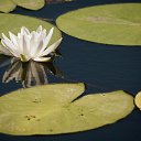 ���� �������, �������, 42 ���� - ��������� 8 ������� 2025 � ������ ���� ����������