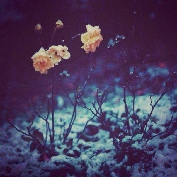 Если человек сделал тебе больно, не отвечай ему тем же, сделай добро. Ты другой человек. Ты лучше.