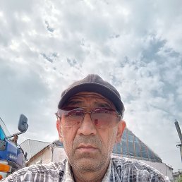  , 51, 