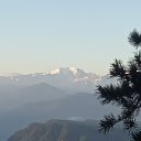 ���� �������, ������ ��������, 63 ���� - ��������� 1 ������� 2026