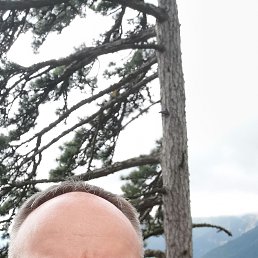 ����, 55 ���, �����-���������