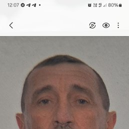 , 44, 