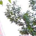 ���� �������� 32 ����, ������, 34 ���� - ��������� 8 ���� 2026