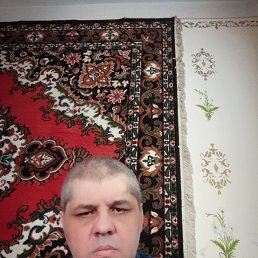 , 46, 