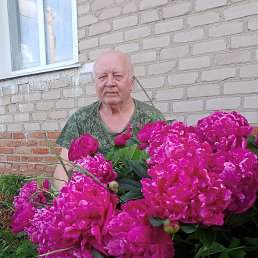, 66, 