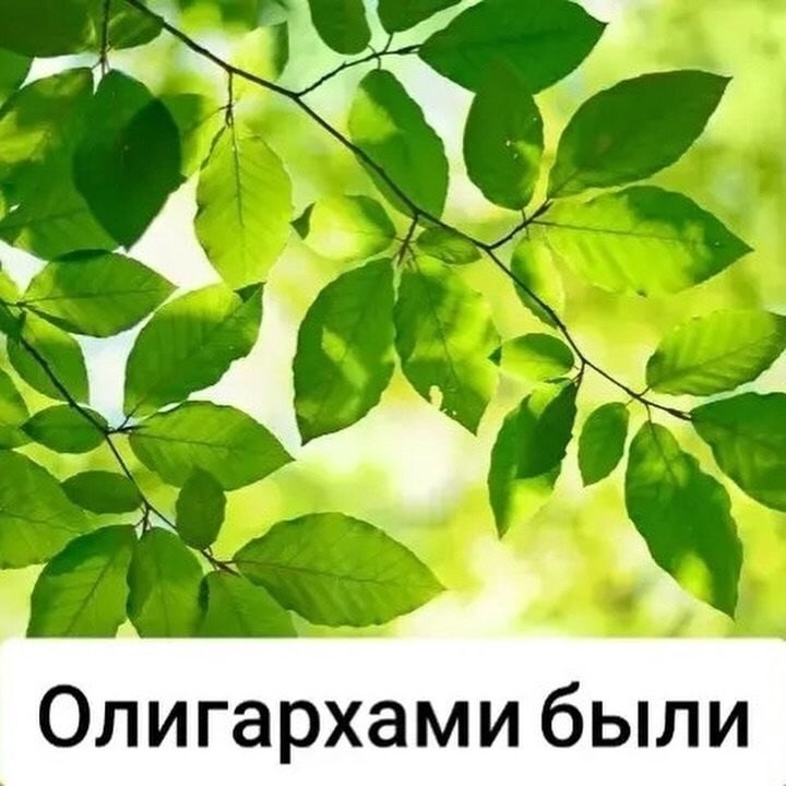    ,  -    !!! - 6