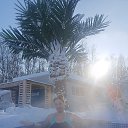 ���� ����, ������, 50 ��� - ��������� 6 ������� 2026