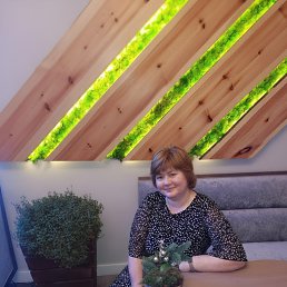 ���� �����, ���������, 49 ��� - ��������� 31 ����� 2026