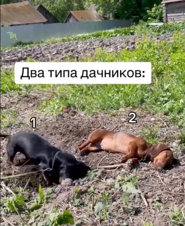    ? - 2