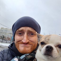 ����, 38 ���, ������