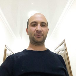 , 37, 