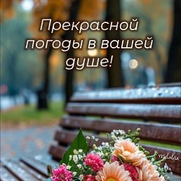 ���� ���������, ��������, 36 ��� - ��������� 28 ������ 2025