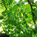 ���� Kaxa, �������, 39 ��� - ��������� 19 ������ 2023 � ������ ���� ����������