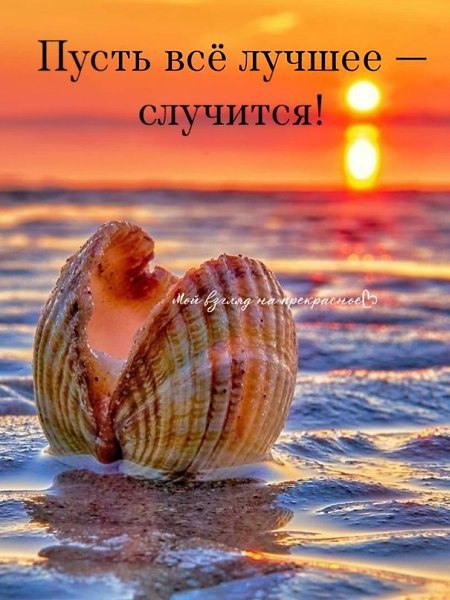   - 9  2025  06:42 - 3