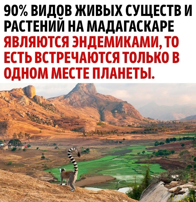  - ,    !