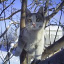 ���� �����, ����������, 42 ���� - ��������� 6 ����� 2025 � ������ ���� ����������