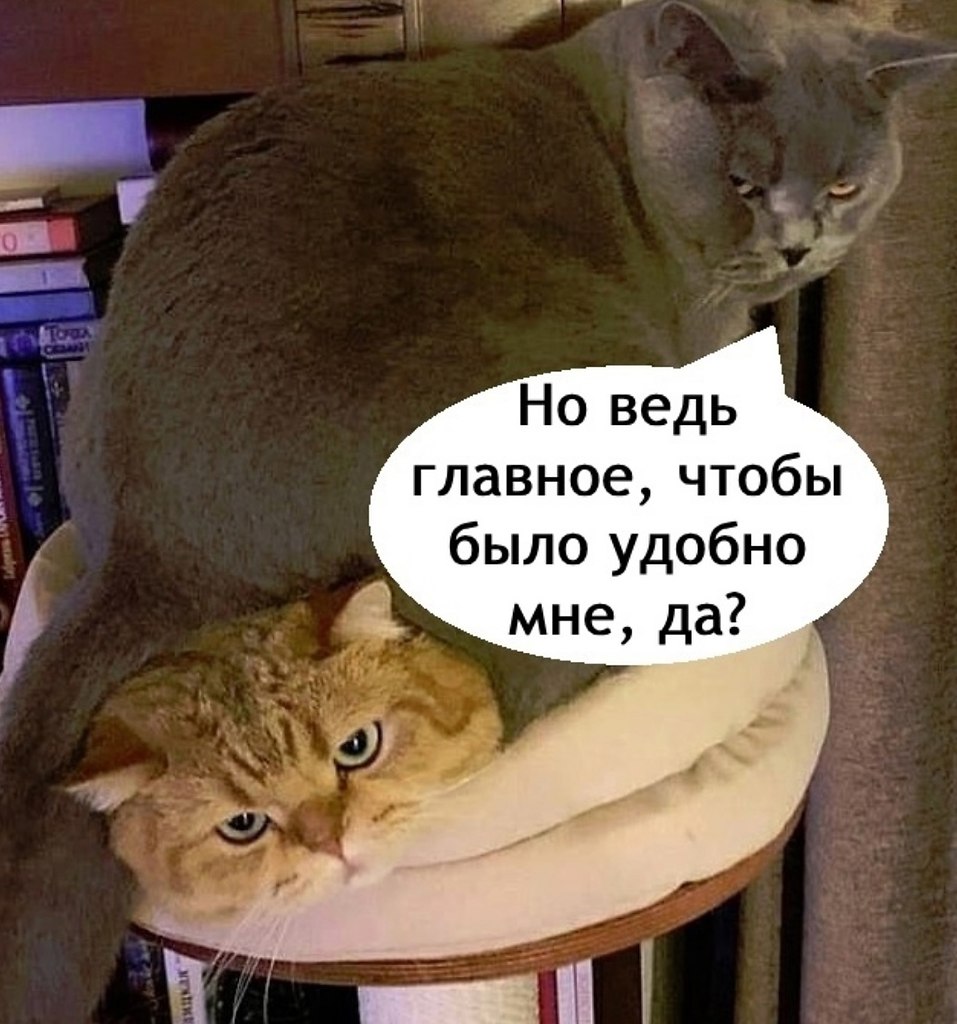 ,     - 4
