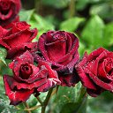 ���� Aleksandr, �����������, 64 ���� - ��������� 12 ���� 2026 � ������ ���� ����������