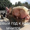 ���� Gyeeee, �����-���������, 30 ��� - ��������� 13 ������ 2023 � ������ ���� ����������