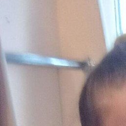 �������, ����, 51 ���