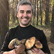 �����, 26 ���, �������