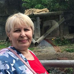 ���� �������, ��� - ��������� 17 ���� 2025