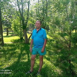 ����, 63 ����, �����������