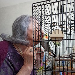 Nani, ���������