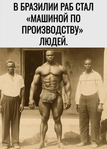 ���� ����: ���������, ������� 