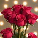 ���� �����, ���������, 49 ��� - ��������� 12 ������ 2026 � ������ ���� ����������