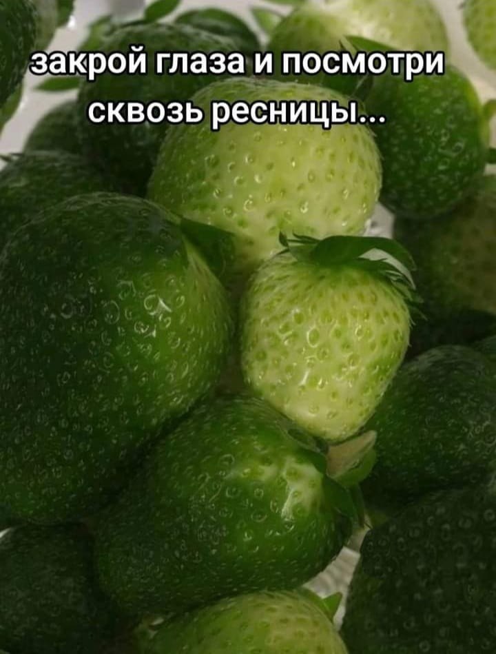 Gsm - 6  2024  20:03