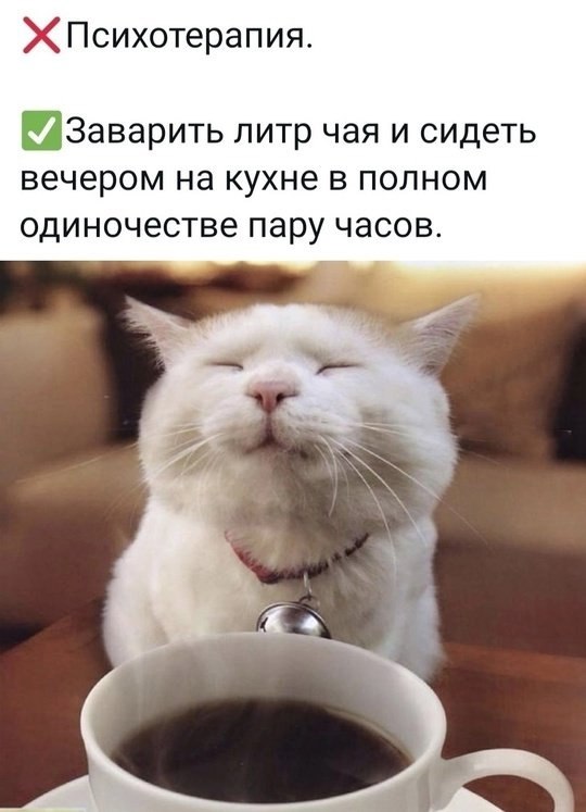  - 14  2025  07:43