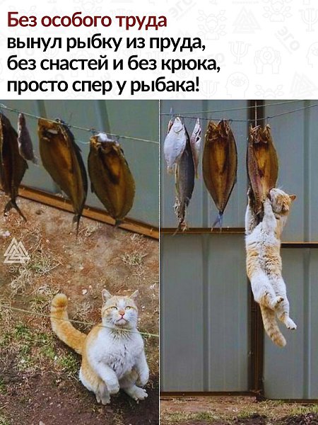 ������ ����� ������� ������